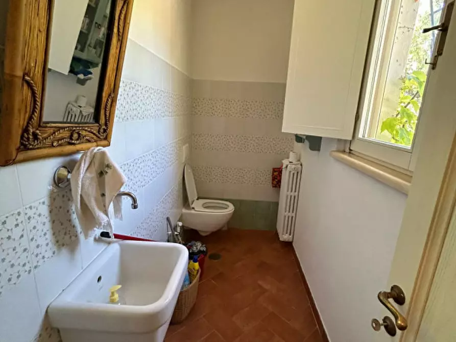 Immagine 34 di Rustico / casale in vendita  in Pescia Fiorentina a Capalbio