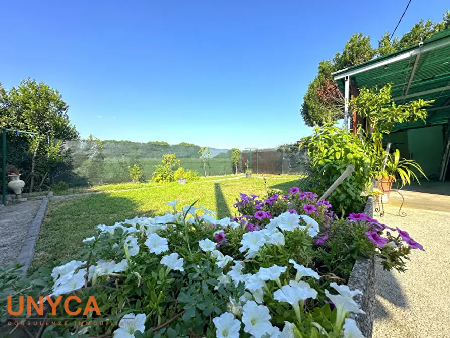 Immagine 23 di Casa indipendente in vendita  a Saccolongo