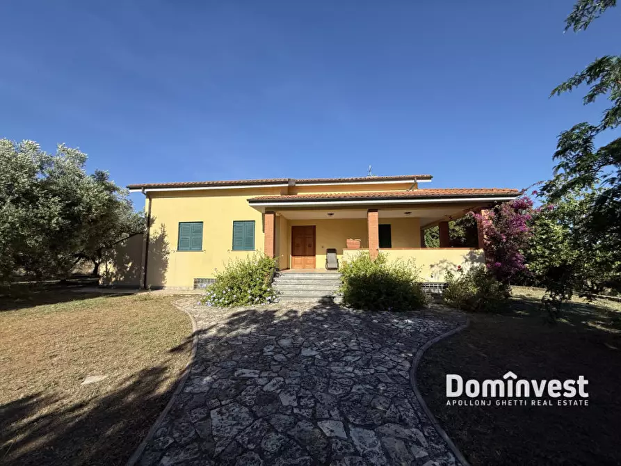 Immagine 21 di Villa in vendita  in Località belvedere a Montalto Di Castro