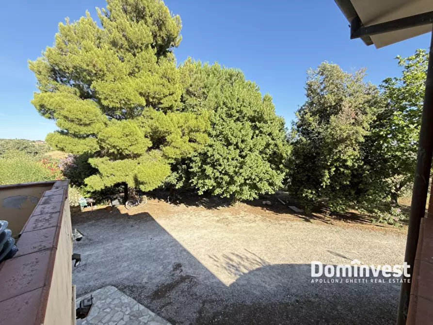 Immagine 24 di Villa in vendita  in Località belvedere a Montalto Di Castro