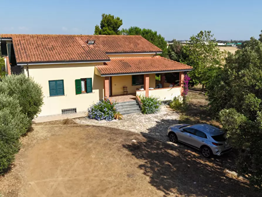 Immagine 28 di Villa in vendita  in Località belvedere a Montalto Di Castro