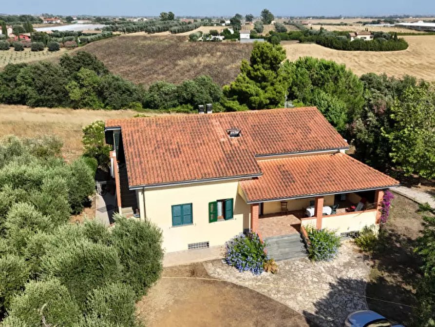 Immagine 29 di Villa in vendita  in Località belvedere a Montalto Di Castro