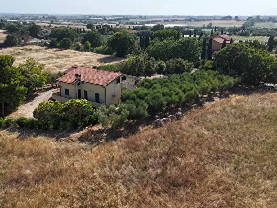 Immagine 30 di Villa in vendita  in Località belvedere a Montalto Di Castro