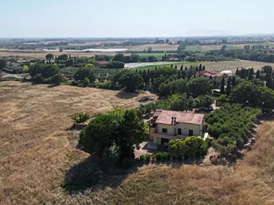 Immagine 31 di Villa in vendita  in Località belvedere a Montalto Di Castro