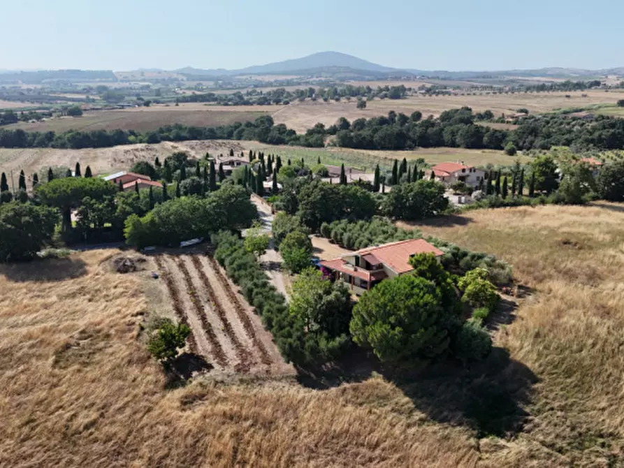 Immagine 32 di Villa in vendita  in Località belvedere a Montalto Di Castro