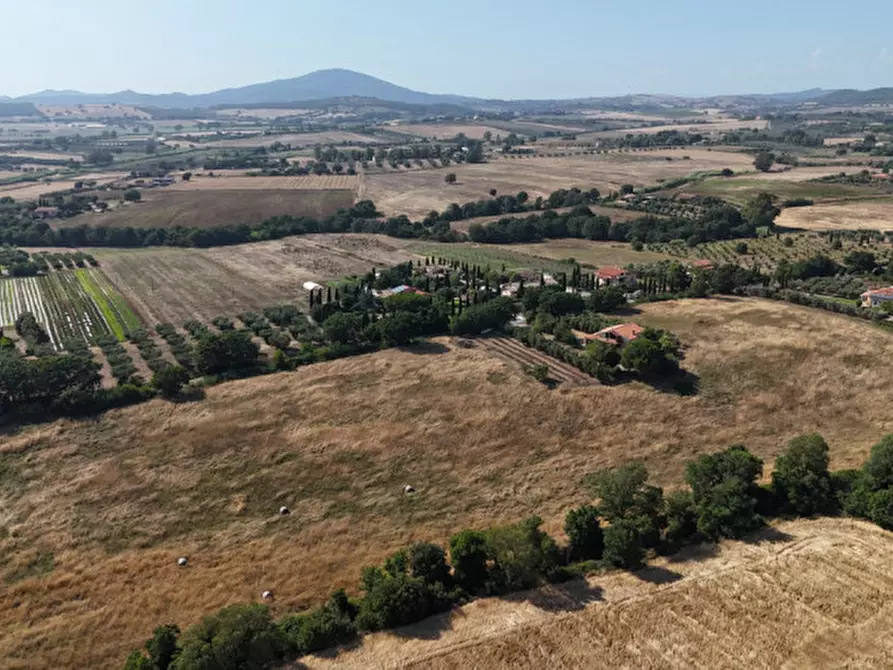 Immagine 33 di Villa in vendita  in Località belvedere a Montalto Di Castro