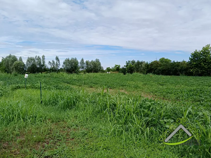 Immagine 1 di Terreno in vendita  in Via Cornara a Pianiga