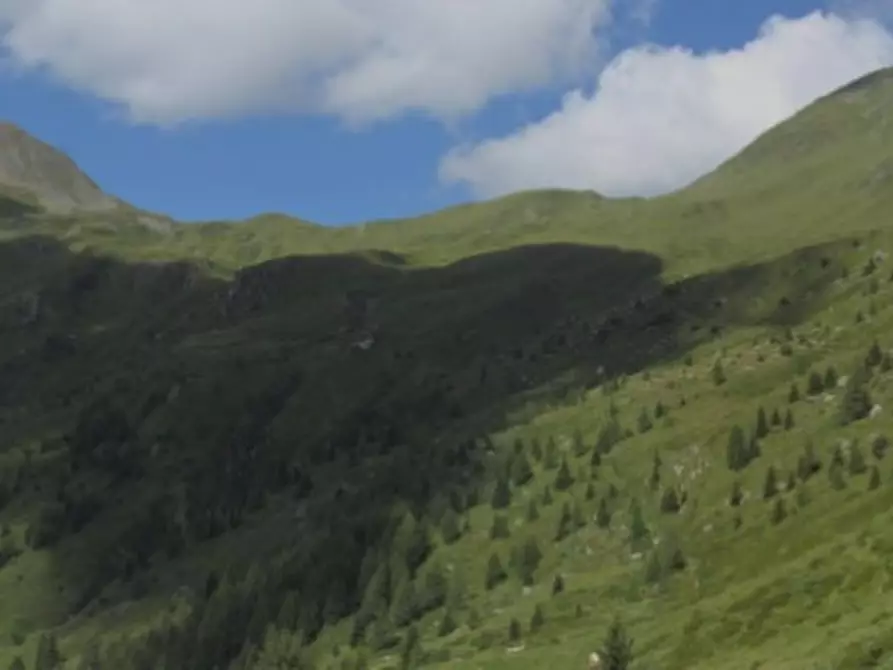 Immagine 24 di Appartamento in vendita  in Via Caduti di Cima Vallona a Comelico Superiore
