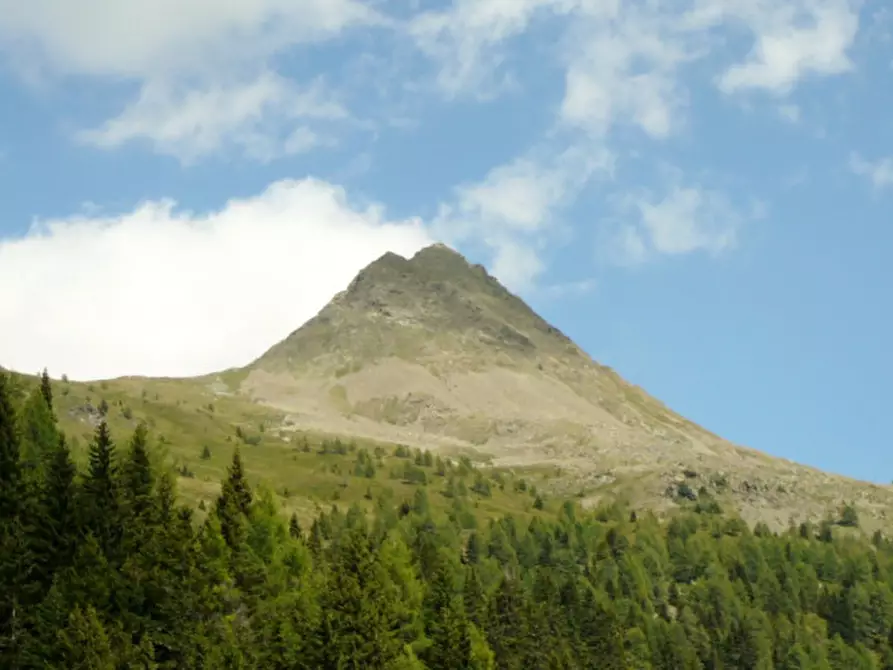 Immagine 26 di Appartamento in vendita  in Via Caduti di Cima Vallona a Comelico Superiore