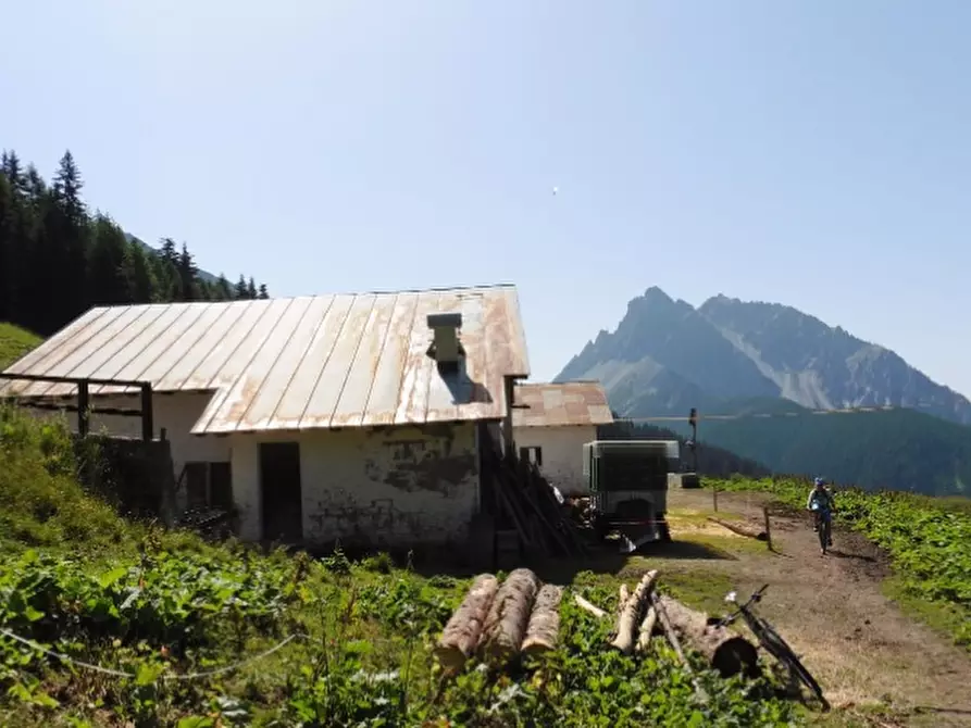 Immagine 27 di Appartamento in vendita  in Via Caduti di Cima Vallona a Comelico Superiore