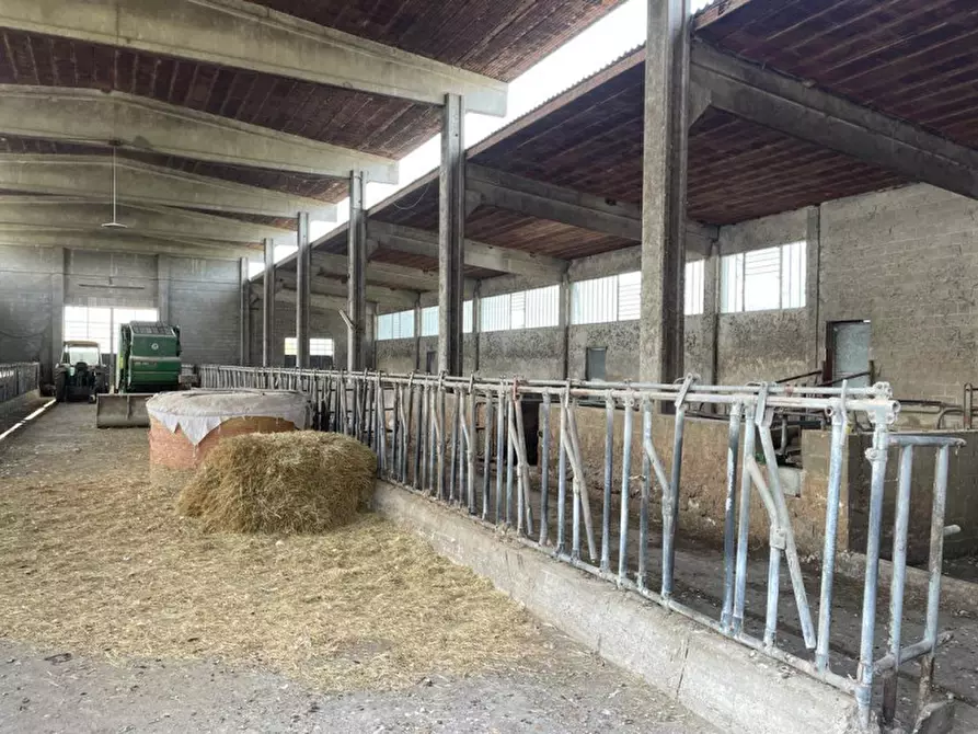 Immagine 2 di Rustico / casale in vendita  in Viale della Repubblica 1 a Pregnana Milanese