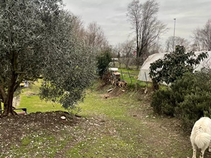 Immagine 4 di Rustico / casale in vendita  in Viale della Repubblica 1 a Pregnana Milanese