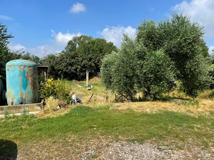 Immagine 5 di Rustico / casale in vendita  in Viale della Repubblica 1 a Pregnana Milanese