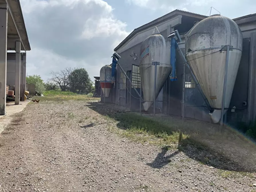 Immagine 10 di Rustico / casale in vendita  in Viale della Repubblica 1 a Pregnana Milanese