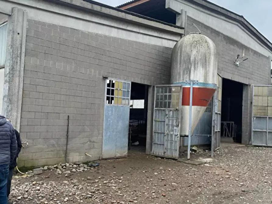 Immagine 11 di Rustico / casale in vendita  in Viale della Repubblica 1 a Pregnana Milanese