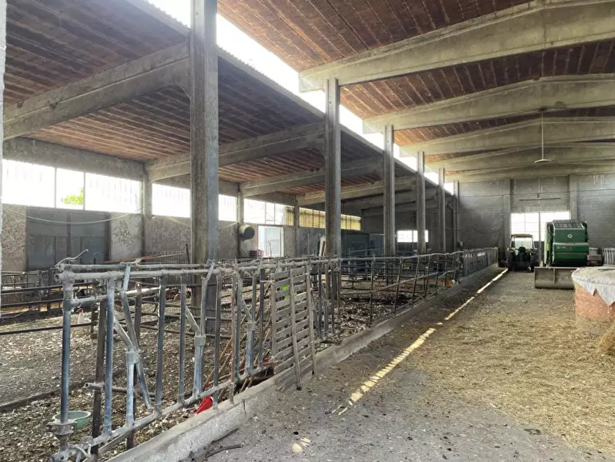 Immagine 12 di Rustico / casale in vendita  in Viale della Repubblica 1 a Pregnana Milanese