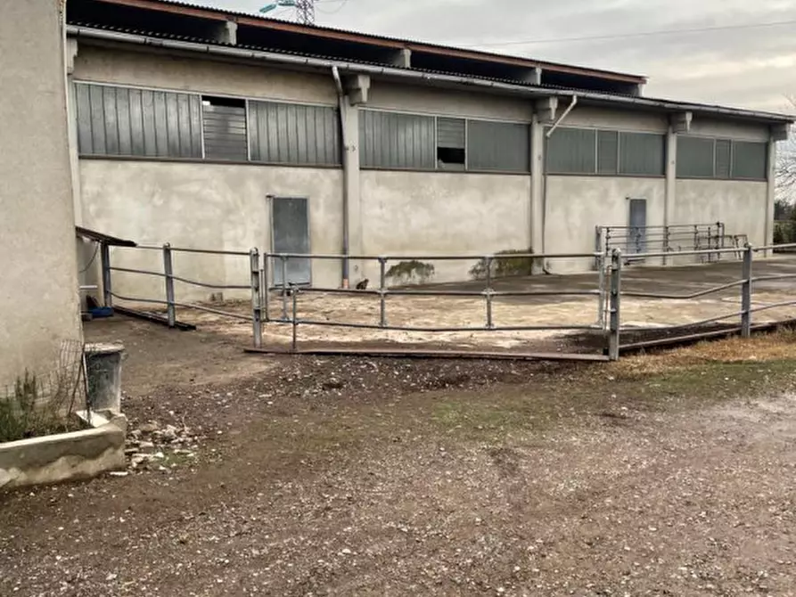 Immagine 13 di Rustico / casale in vendita  in Viale della Repubblica 1 a Pregnana Milanese