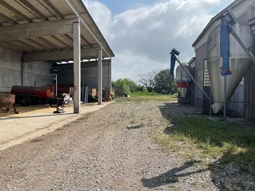 Immagine 14 di Rustico / casale in vendita  in Viale della Repubblica 1 a Pregnana Milanese