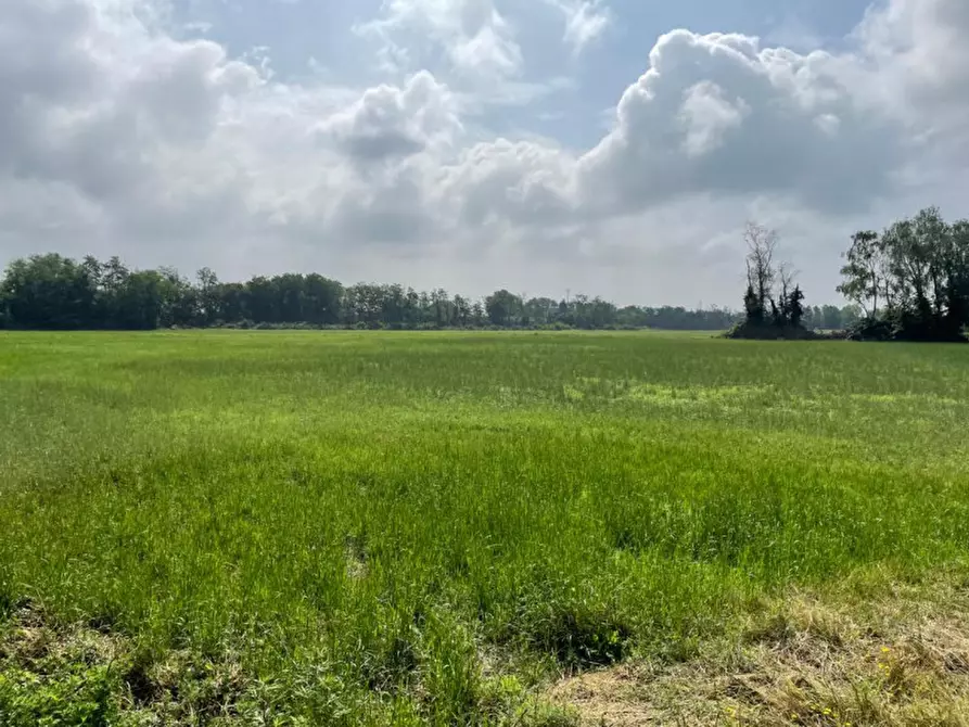 Immagine 19 di Rustico / casale in vendita  in Viale della Repubblica 1 a Pregnana Milanese