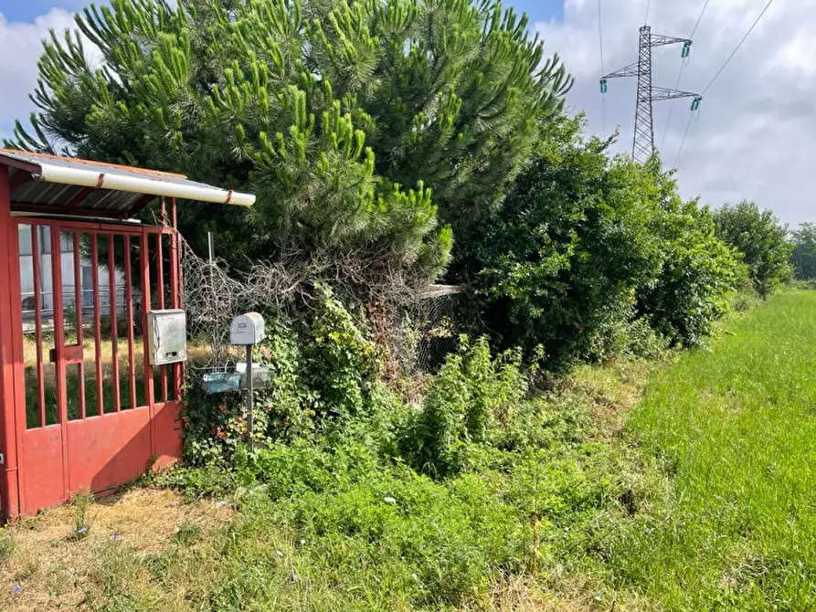 Immagine 22 di Rustico / casale in vendita  in Viale della Repubblica 1 a Pregnana Milanese