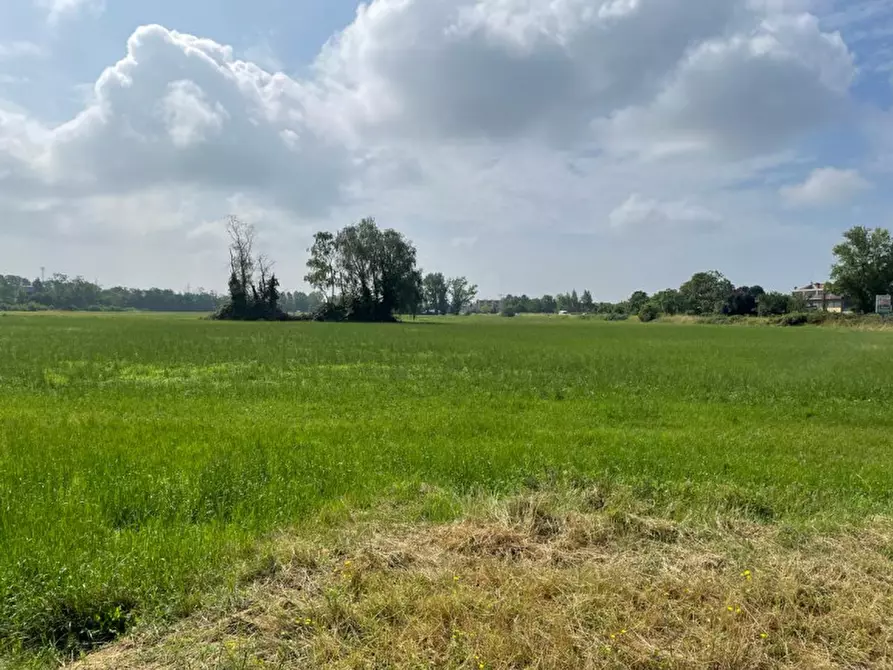 Immagine 25 di Rustico / casale in vendita  in Viale della Repubblica 1 a Pregnana Milanese