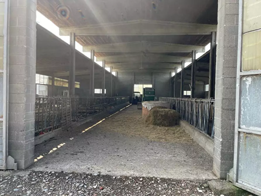 Immagine 26 di Rustico / casale in vendita  in Viale della Repubblica 1 a Pregnana Milanese