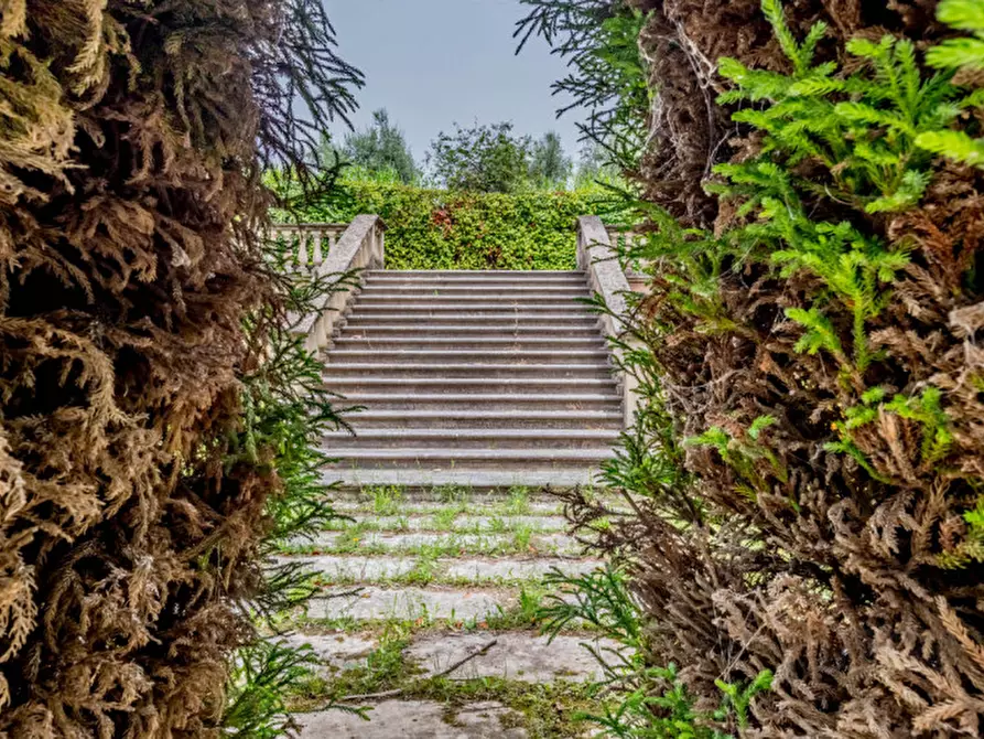 Immagine 6 di Villa in vendita  in Colle degli Dei a Velletri