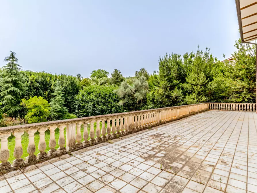 Immagine 18 di Villa in vendita  in Colle degli Dei a Velletri