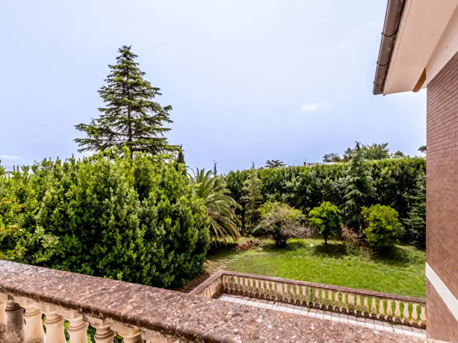 Immagine 36 di Villa in vendita  in Colle degli Dei a Velletri