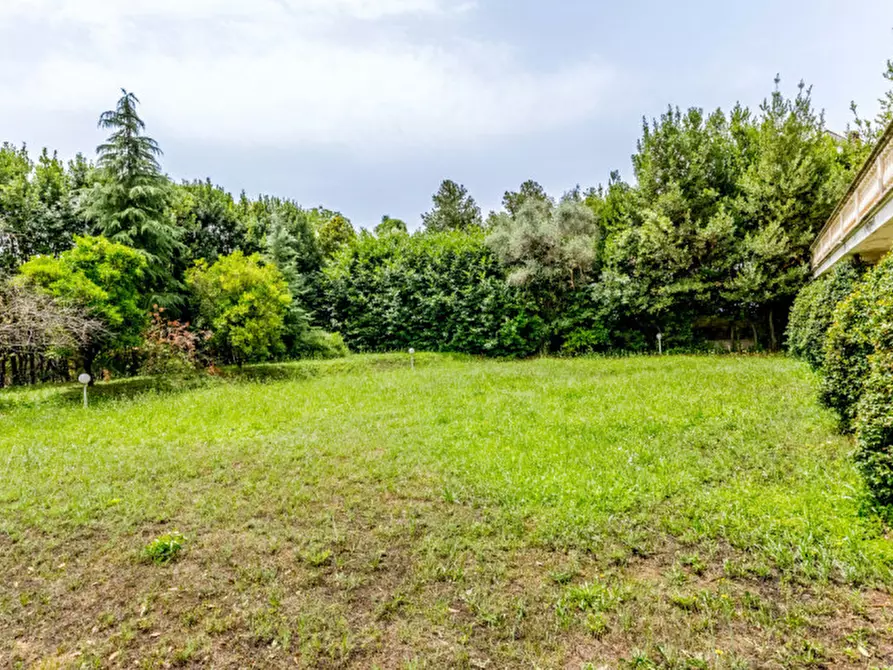 Immagine 54 di Villa in vendita  in Colle degli Dei a Velletri