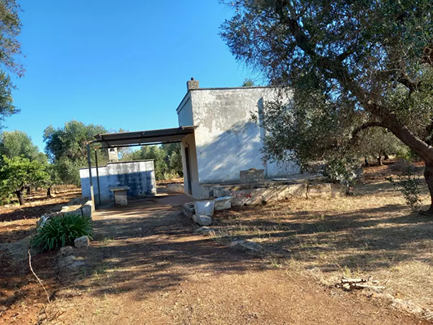 Immagine 6 di Rustico / casale in vendita  in C.da Palmo a Francavilla Fontana