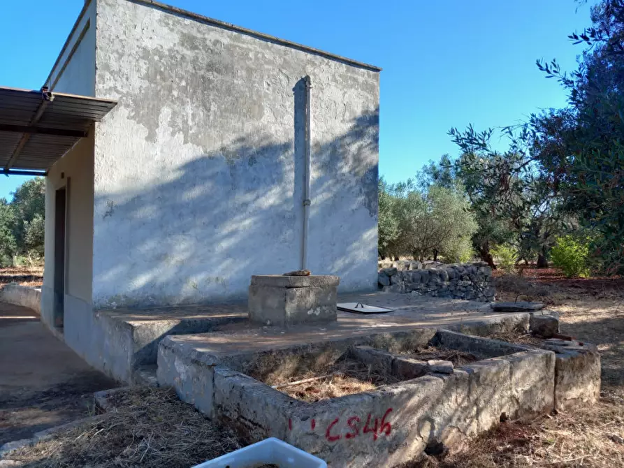 Immagine 10 di Rustico / casale in vendita  in C.da Palmo a Francavilla Fontana