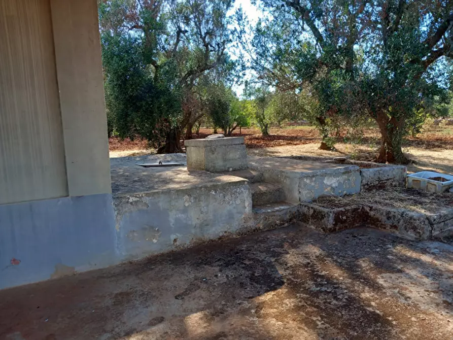 Immagine 11 di Rustico / casale in vendita  in C.da Palmo a Francavilla Fontana