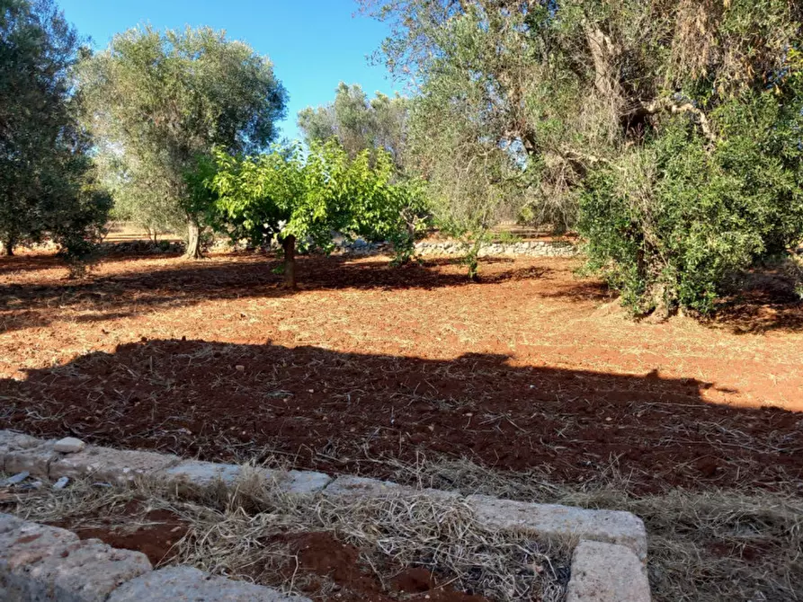 Immagine 12 di Rustico / casale in vendita  in C.da Palmo a Francavilla Fontana