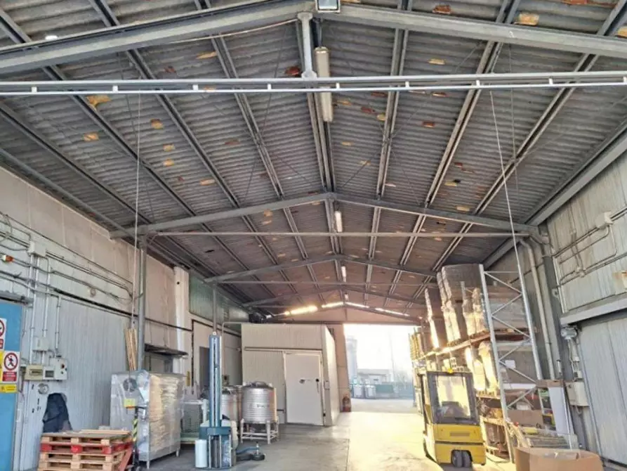 Immagine 2 di Terreno in vendita  in Vocabolo Casemasce - SP380, N. snc a Todi