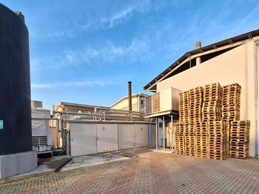 Immagine 3 di Terreno in vendita  in Vocabolo Casemasce - SP380, N. snc a Todi