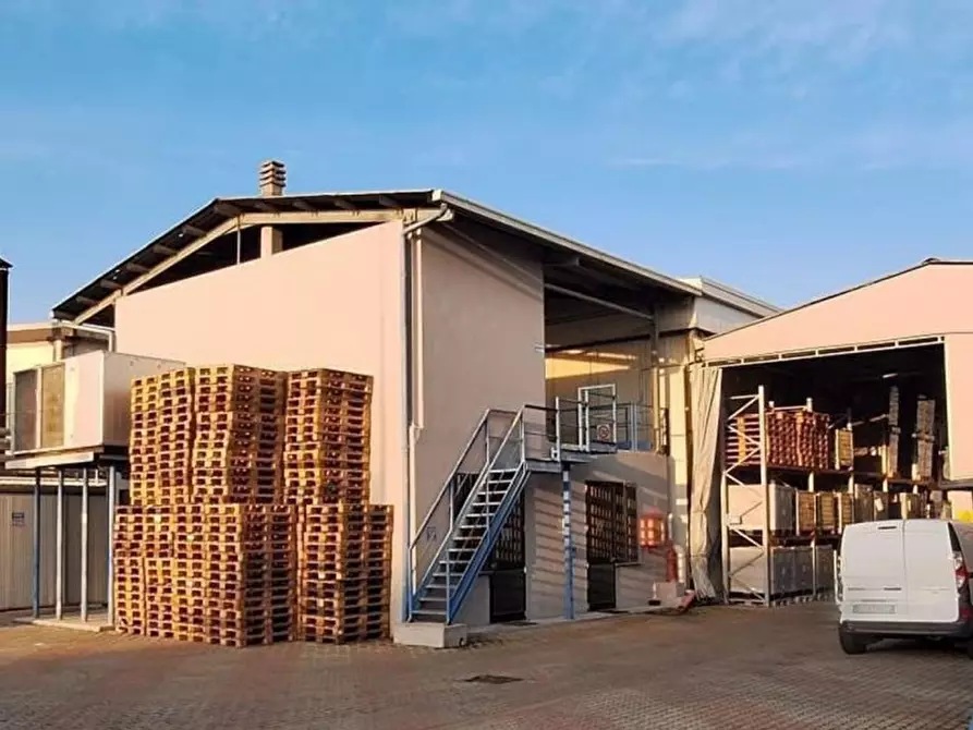 Immagine 4 di Terreno in vendita  in Vocabolo Casemasce - SP380, N. snc a Todi