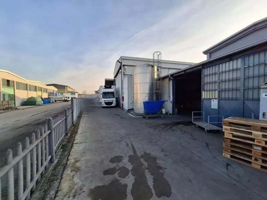 Immagine 8 di Terreno in vendita  in Vocabolo Casemasce - SP380, N. snc a Todi