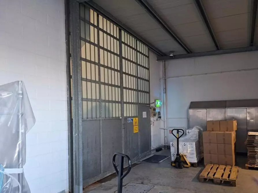 Immagine 13 di Terreno in vendita  in Vocabolo Casemasce - SP380, N. snc a Todi