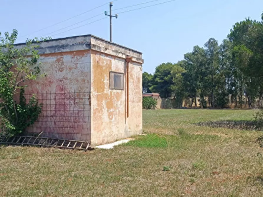 Immagine 1 di Terreno in vendita  in Strada Vicinale Arene Spririto Santo a Gallipoli