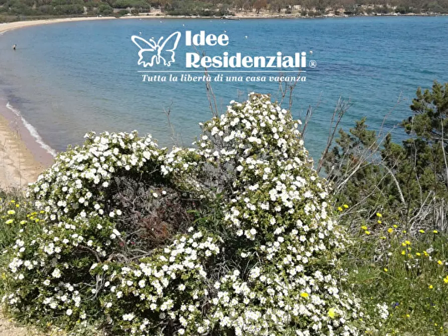 Immagine 17 di Appartamento in vendita  in Via dell'Elicriso a Palau