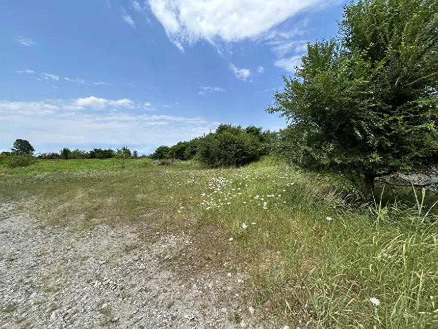 Immagine 2 di Terreno in vendita  a Orzinuovi