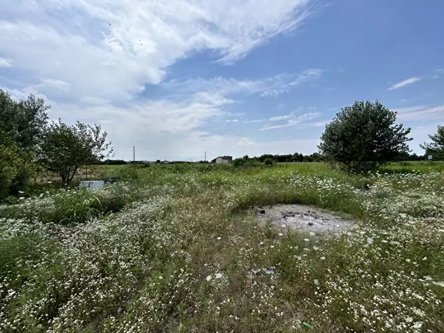 Immagine 5 di Terreno in vendita  a Orzinuovi