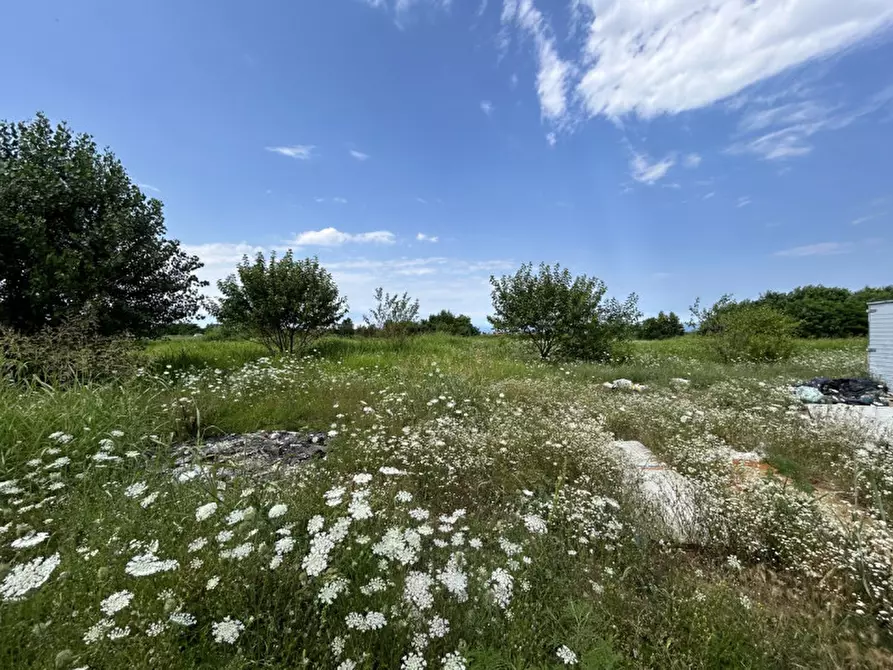 Immagine 8 di Terreno in vendita  a Orzinuovi