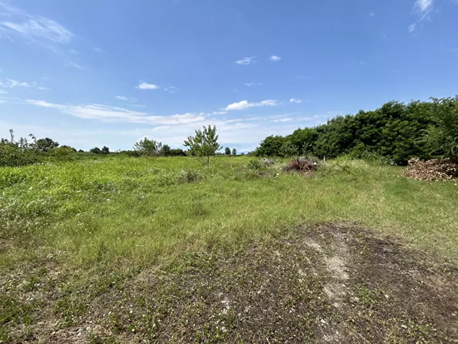 Immagine 11 di Terreno in vendita  a Orzinuovi