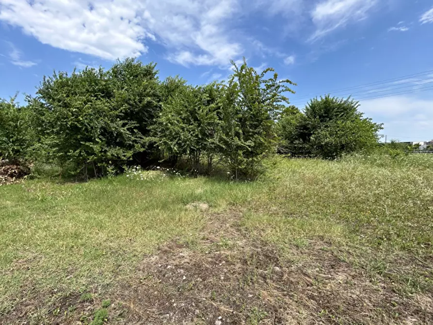 Immagine 12 di Terreno in vendita  a Orzinuovi