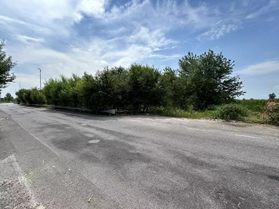 Immagine 19 di Terreno in vendita  a Orzinuovi