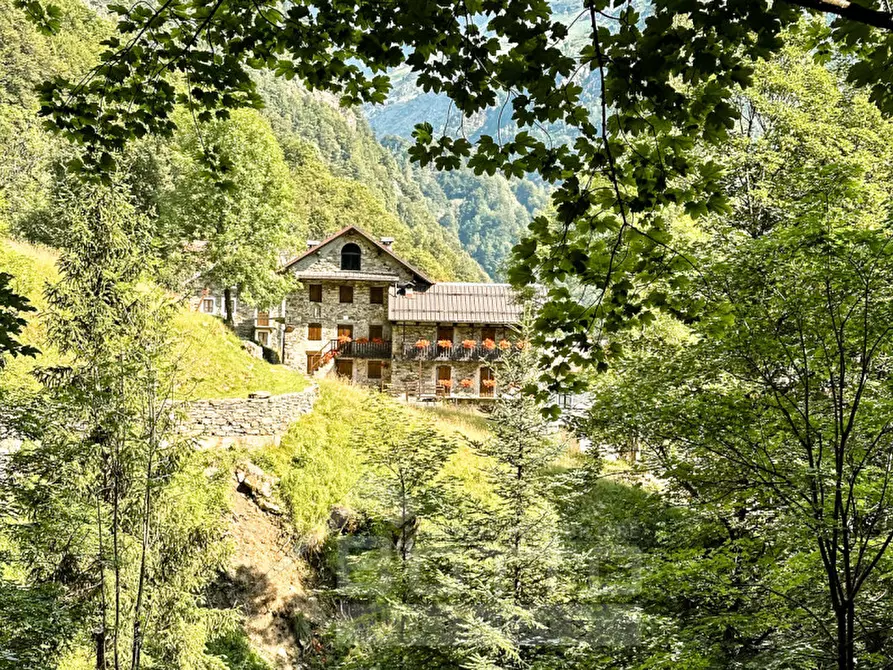 Immagine 20 di Rustico / casale in vendita  a Fobello