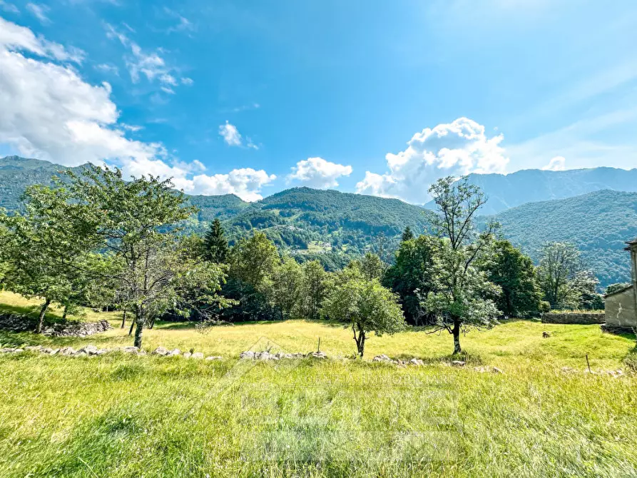 Immagine 21 di Rustico / casale in vendita  a Fobello