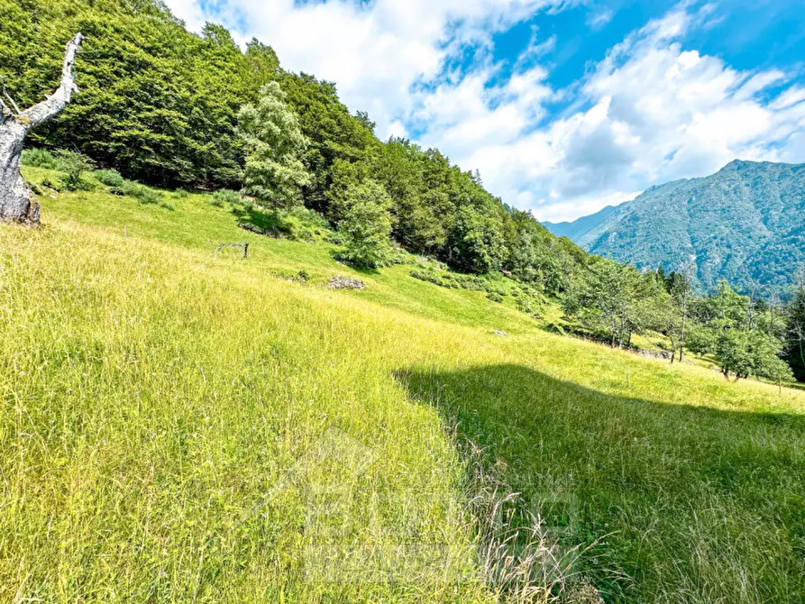 Immagine 22 di Rustico / casale in vendita  a Fobello